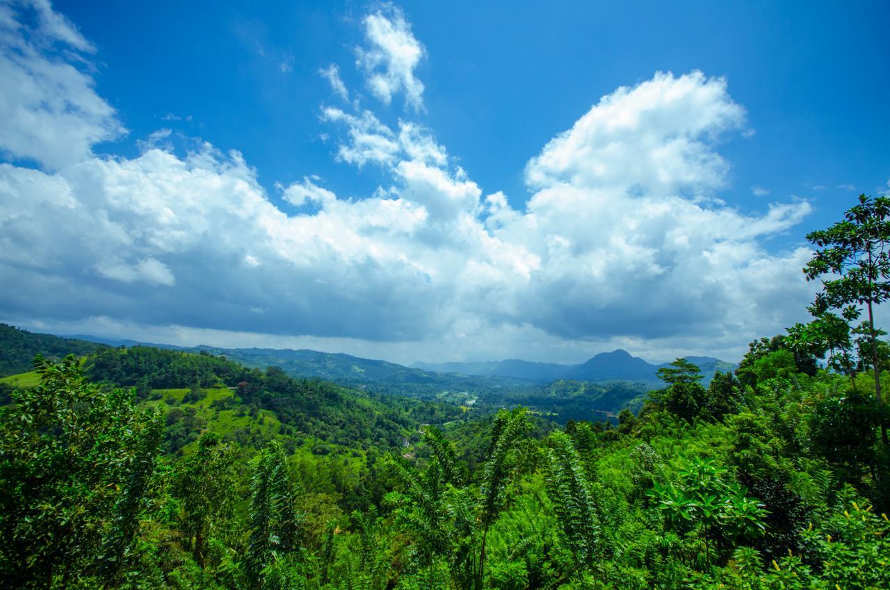 Summit View Bed and Breakfast Kandy Exterior foto